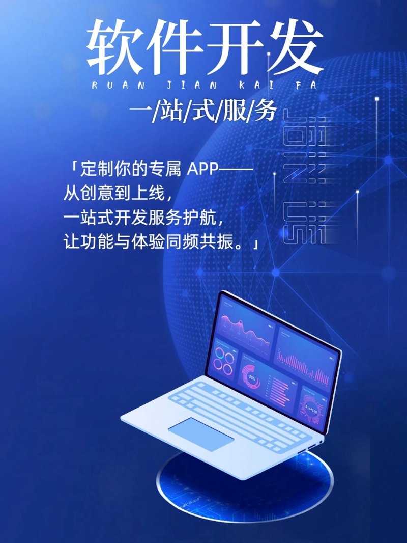 软件定制开发：企业成长的催化剂