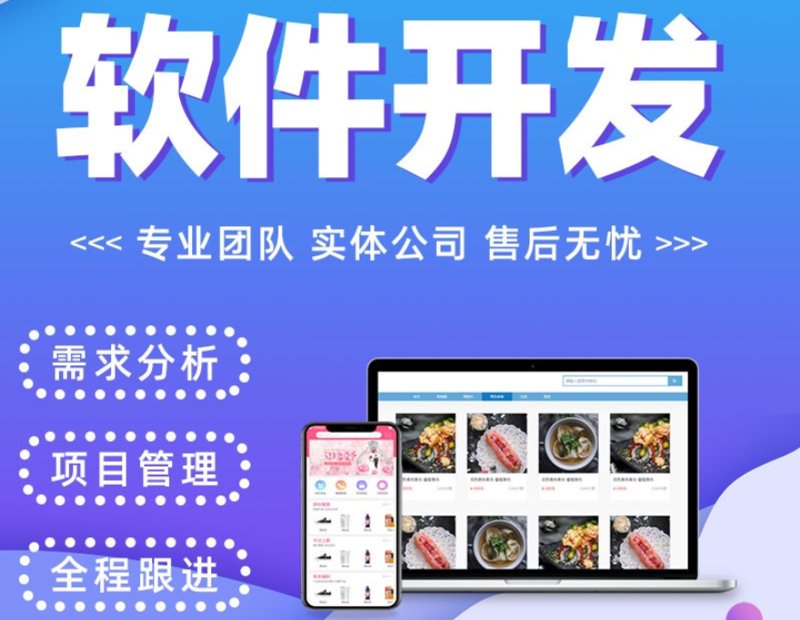 选择软件定制开发服务指南